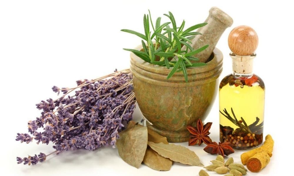 Medicinal herbs in the fight against varicose veins on the legs